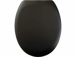 Diaqua Toilettensitz Race Slow Down Schwarz matt