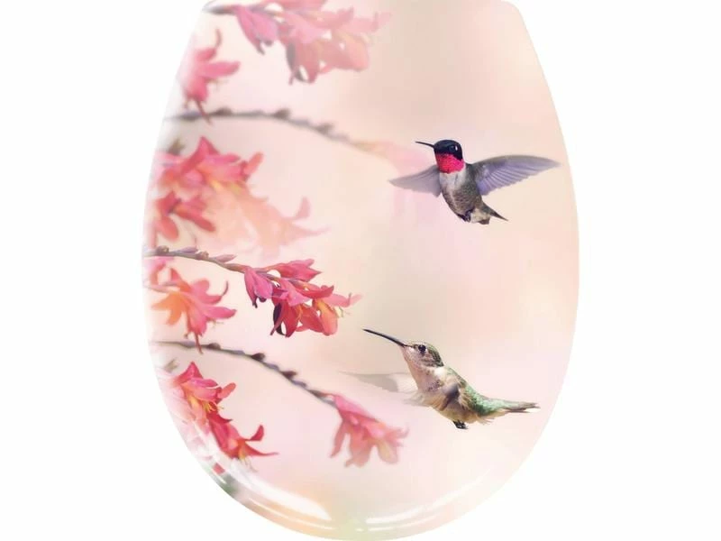 Kleine Wolke Toilettensitz Kolibri mit Absenkautomatik, Rosa 1 Kleine Wolke Toilettensitz Kolibri mit Absenkautomatik, Rosa