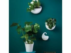 Koziol Duschmittelhalter Utensilo Surf XL, Weiss -Angebote Bad & Sanitär Store 53116605 xxl 6