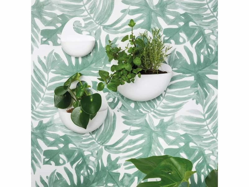 Koziol Duschmittelhalter Utensilo Surf M, Transparent 2 Koziol Duschmittelhalter Utensilo Surf M, Transparent – Bild 2